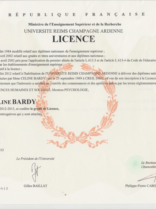 Licence 3