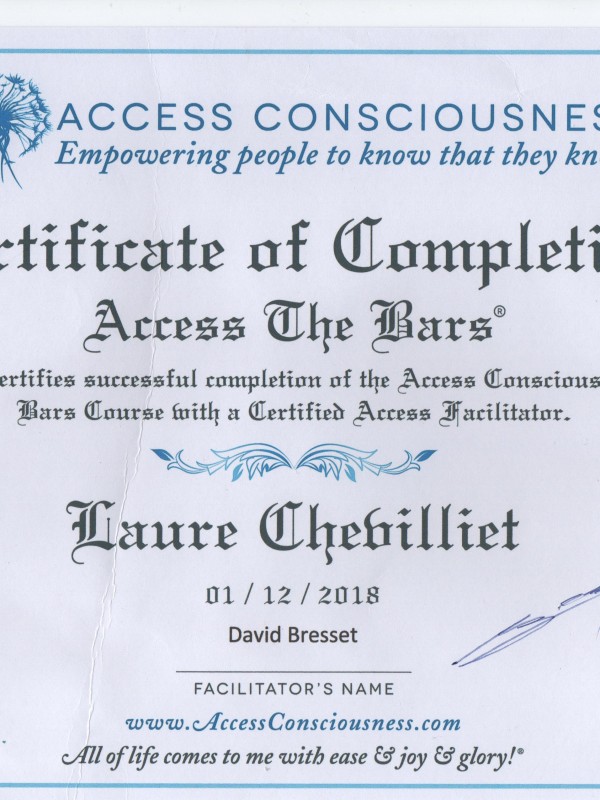 Praticienne ACCESS BAR